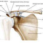 Лечение артроза акромиально-ключичного сочленения: медикаменты и физиотерапия