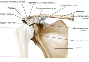 Лечение артроза акромиально-ключичного сочленения: медикаменты и физиотерапия