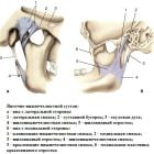 Воспаление челюстного сустава: симптомы, лечение