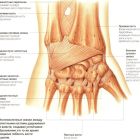 Лечение лучезапястного сустава: основные диагнозы и методы терапии