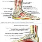 Боль в голеностопном суставе: причины и лечение
