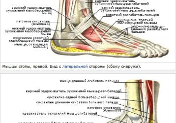 Боль в голеностопном суставе: причины и лечение