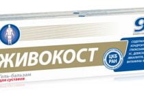 Бальзам Живокост — сибирское здоровье: инструкция по применению, виды, цена