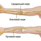 Почему немеет левая рука от локтя до пальцев: способы лечения