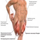Боль в бедренной мышце: причины и методы лечения