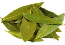 Лечение суставов лавровым листом — рецепты приготовления настоек и отваров