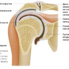 Диагностика и лечение воспалительных заболеваний плечевого сустава