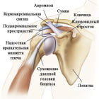 Упражнения при плечелопаточном периартрите и не только