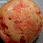 Эффективные препараты для суставов и хрящей: список названий