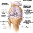 Эффективные упражнения для укрепления коленного сустава