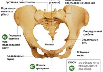 Артроз крестцово-подвздошных сочленений: симптомы и лечение