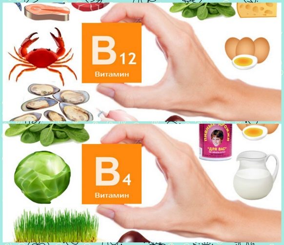 Продукты богатые витаминами В4 и В12 Витамины окопника