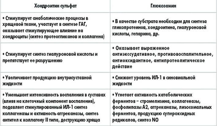 Основные компоненты хондропротекторов